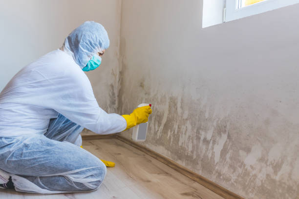 Crawl Space Mold Remediation treatment of floor joists in Blue Bell